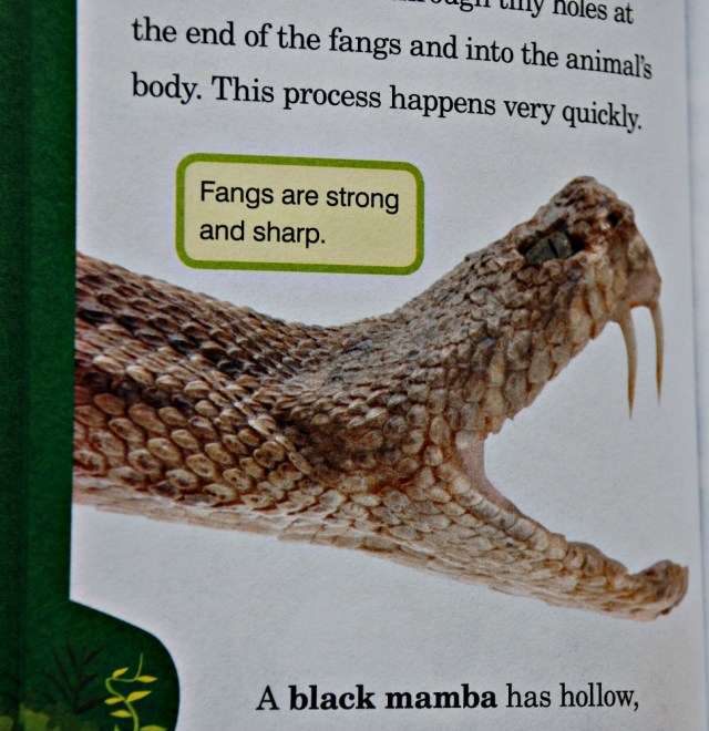 Animal Planet Chapter Book Snakes. Lots of information about snakes and great pictures
