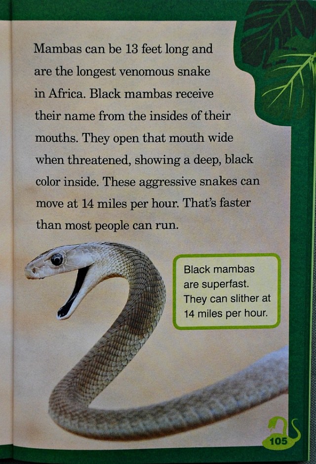 Animal planet Chapter Book Snakes. Very informative book for younger readers