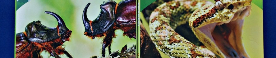 Animal Planet Chapter Books Bugs and Snakes. Non-fiction chapter books for young readers