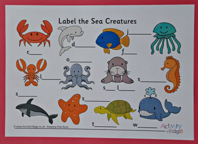 Label the Sea Creature page from Activity Village
