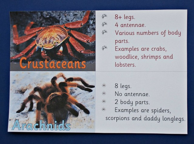 Teachit Primary Website. Free to download animal classification cards