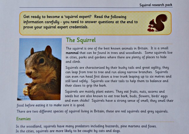 Teachit Primary Website. Free to download Squirrel Research pack