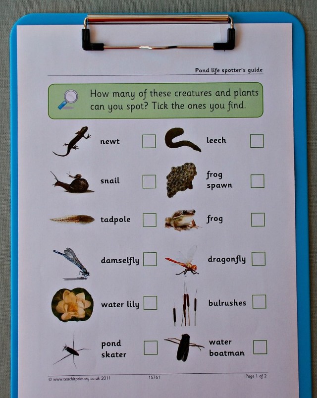 Teachit Primary Website. Pond Life Spotter guide. perfect for outdoors activity in the warmer months