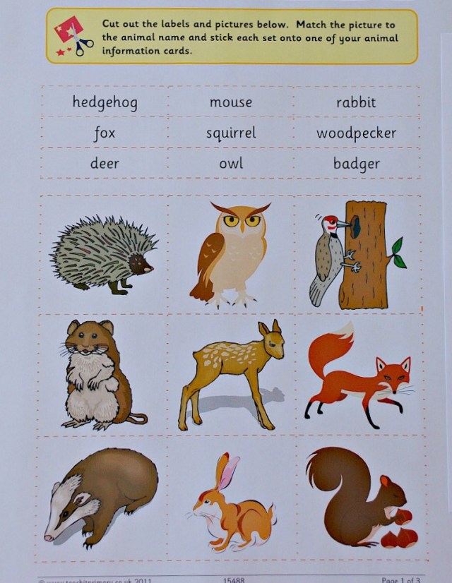 Teachit Primary Website. Free to download Woodland animal cut and label activity