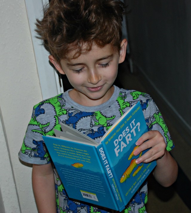 Does It Fart Book. Brilliant for getting kids reading and laughing