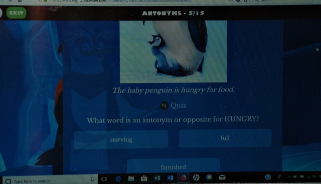 Night Zookeeper website. An example of one of the over 300 lessons they have