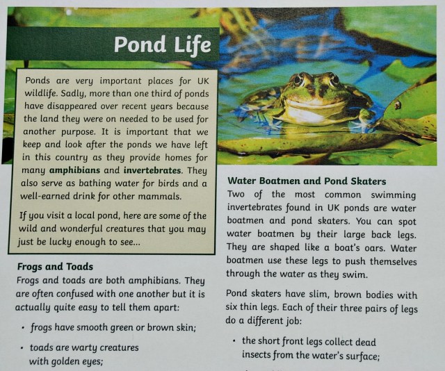 BBC Springwatch and Twinkl KS2 reading comprehension Pond Life