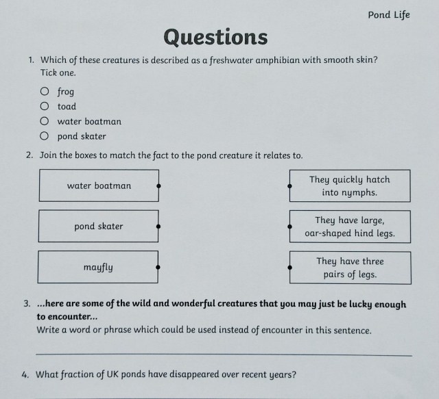 Twinkl's BBC Springwatch Pond Life reading comprehension questions