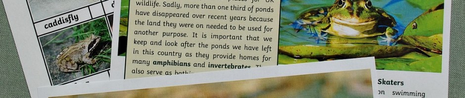 BBC Springwatch and Twinkl reading comprehensions. Free to download for the month of June