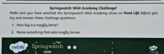 Twinkl and the BBC Springwatch reading comprehensions include a Springwatch Wild Academy Challenge