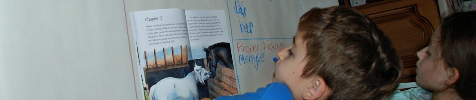 hunting for Vebs, Nouns, Adverbs and Adjectives in the story of Black Beauty