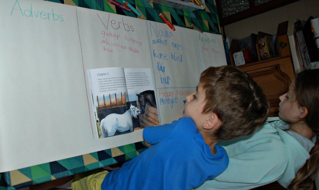 hunting for Vebs, Nouns, Adverbs and Adjectives in the story of Black Beauty