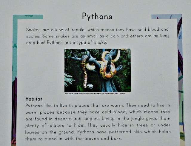 Python Comprehension from Twinkl Resources