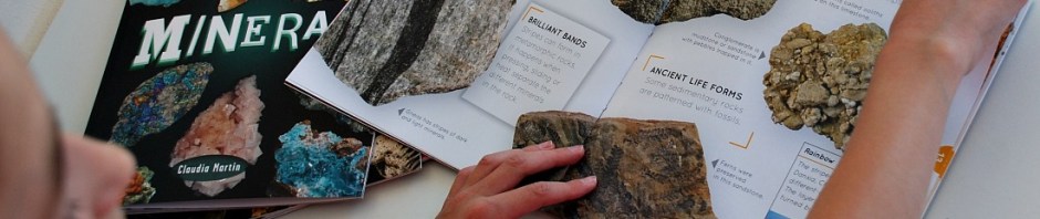 reading the Rock Explorer books. Great introduction to Geology