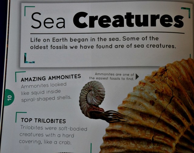 Rock Explorer books Fossils. Sea Creature page