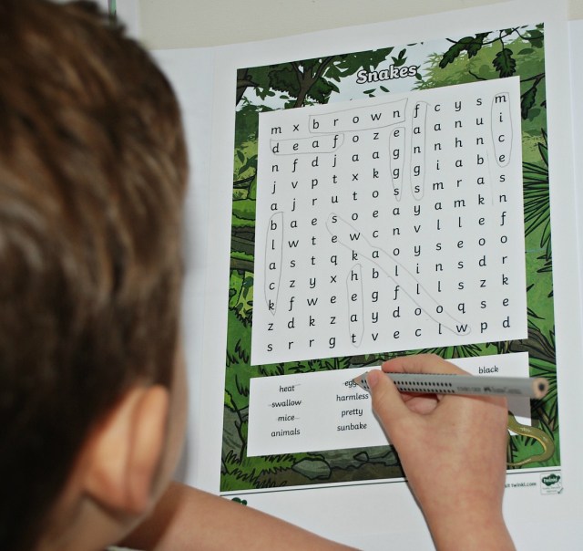 Snake wordsearch from Twinkl Resources website