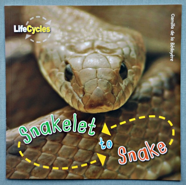 Snakelet to Snake Life Cycle book by QED publishing