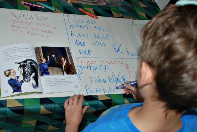 Using Black Beauty for a Verb and Noun hunt activity. Great for younger kids learning the differences