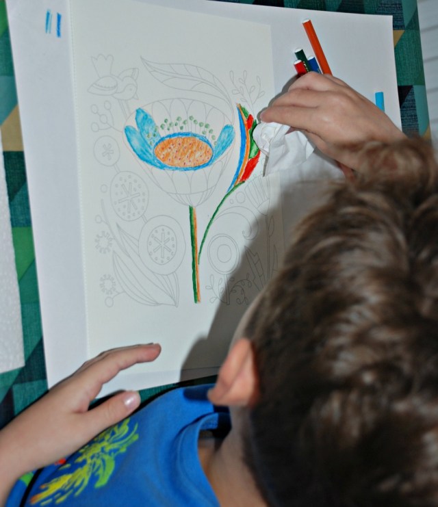 Just add Watercolour Flowers books by Robin Pickens