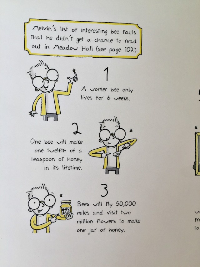Free to download interesting fact page from the Bee Boy book