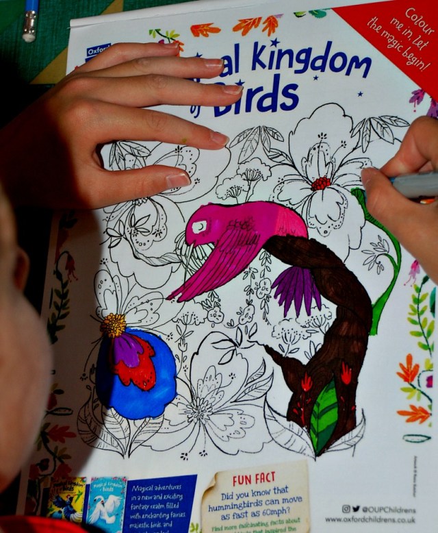 Free to download the Magical Kingdom of Birds colouring page