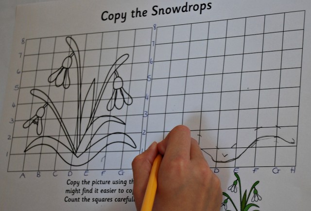 Grid Copy with co-ordinates. First plotting some points before you draw the lines