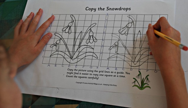 Grid Copy Snowdrops from Activity Village