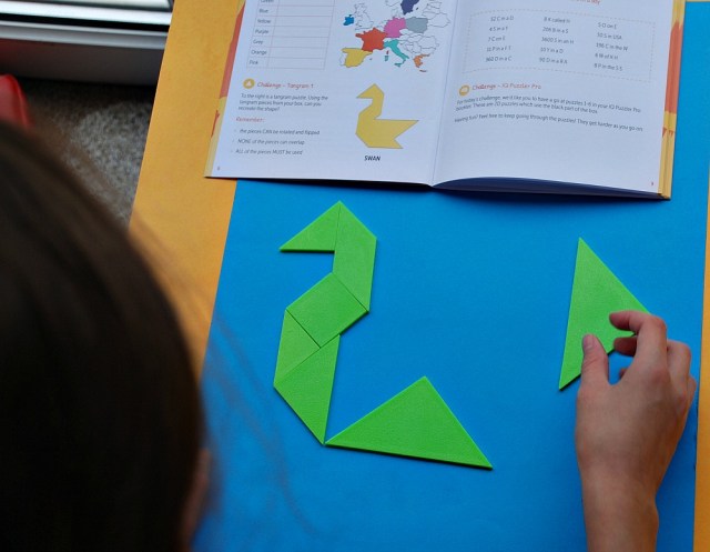 Lucky Gecko Summer Box, a tangram challenge