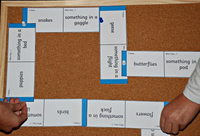 Adding the Twinkl Resources Collective Noun Loop Cards to a notice board