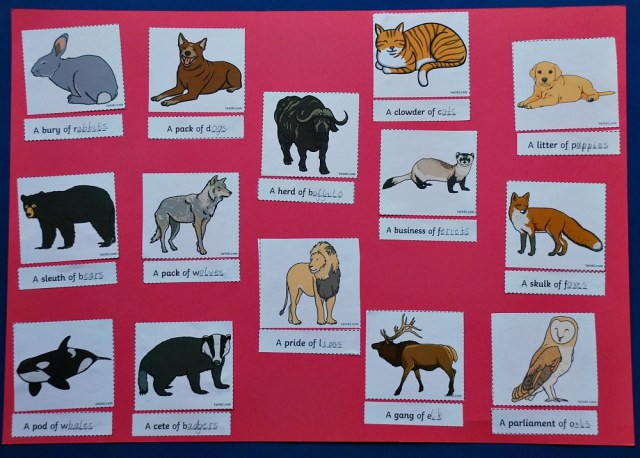 Collective Noun Poster made using the matching cards from Twinkl Resources