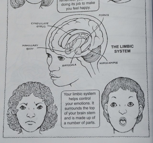 Dover Colouring Book. My First Book about the Brain