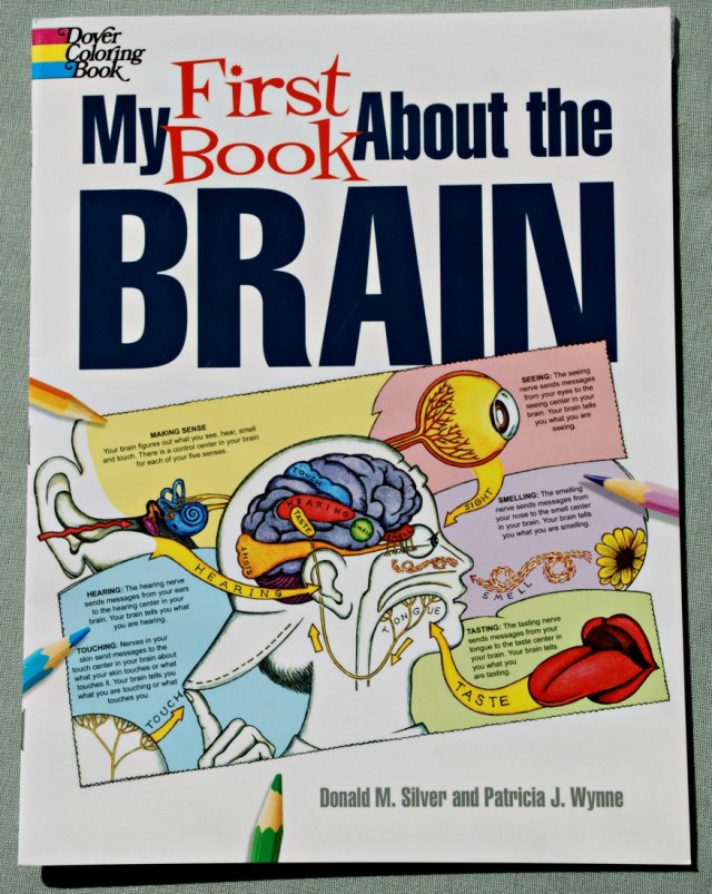 My First Book about the Brain by Dover coloring