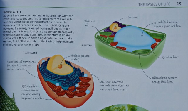 DK Explanatorium Nature book includes detail like what a cell looks like