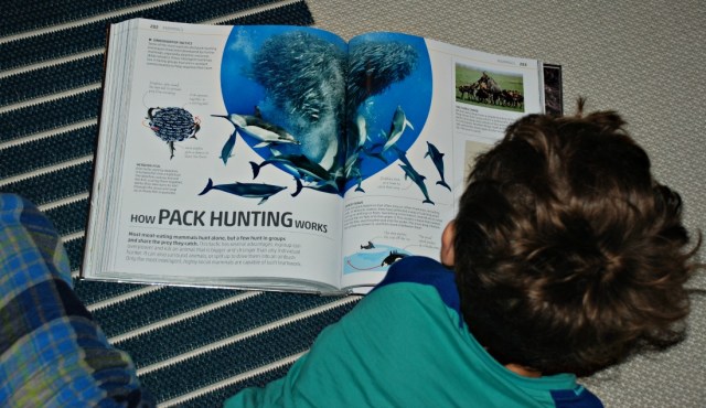 reading the DK Explanatorium Nature Book