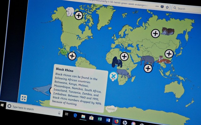 Twinkl Go Endangered animal hotpoint screen