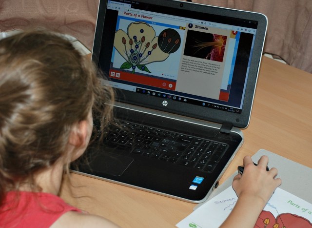 Twinkl Go. Parts of a Flower Interactive eBook