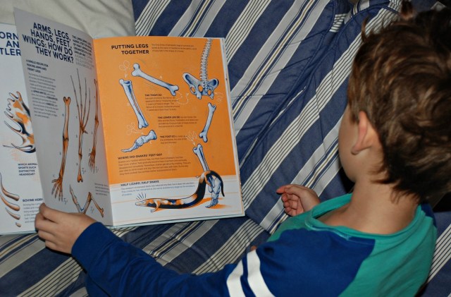 reading Who Owns These Bones