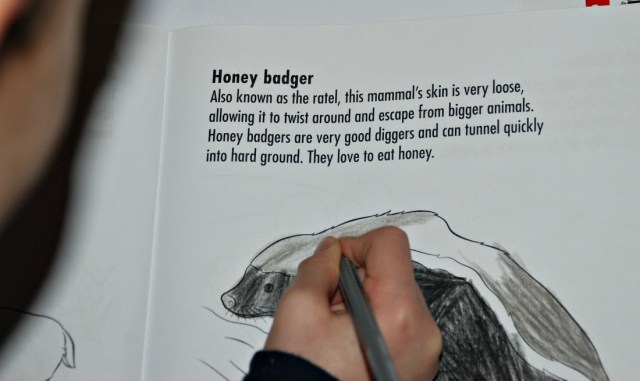 African Mammal Book by Sally MacLarty. Each picture has a short blurb about the animal at the top of the page