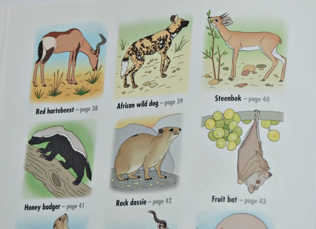 pictures of the animals in the middle of each colouring book