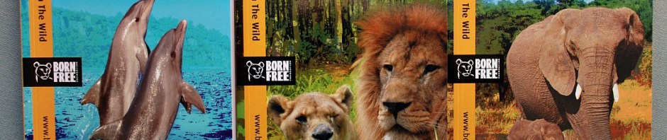Born Free Books - Tom & Misha, Bella & Simba, Nina & Pinkie
