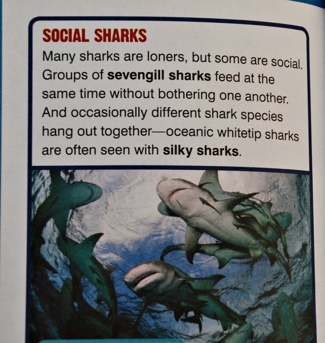 Sharks. Animal Planet Chapter Book. Social Sharks