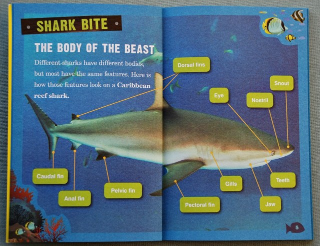 Sharks. Animal Planet Chaper Book. The Body of the Shark