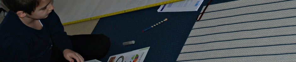 Measuring out the different lengths of different types of snakes