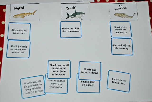 Shark Myth or Reality Sorting cards part of the Twinkl Resources Shark Lapbook