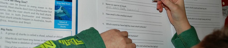 Shark Comprehension from Twinkl Resources