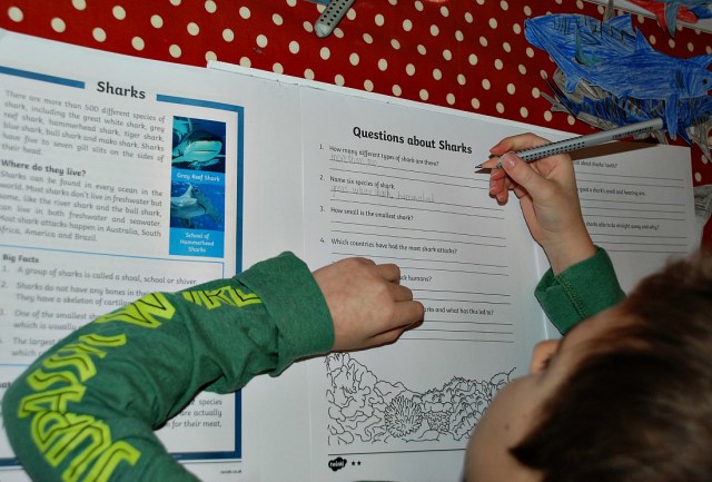 Shark Comprehension from Twinkl Resources