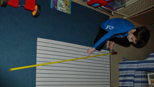 showing me the length of different snakes