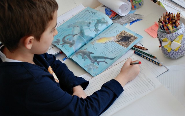 Animal Shark Diaries a great book written as a shark's diary, perfect to encourage kids to write a story