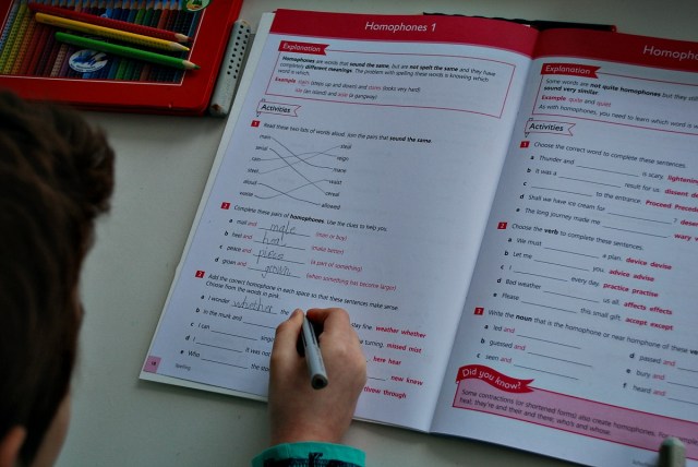 Working is the Schofield &amp; Sims Understanding English Spelling workbook