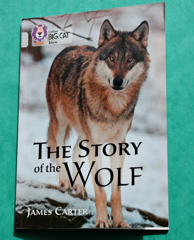 Collins BIG CAT Information range. The Story of the Wolf. Great to use as part of a Wolf topic